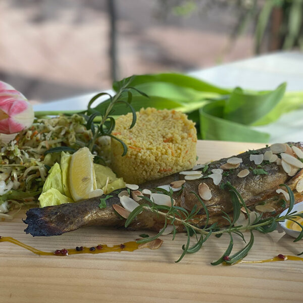 Pstrąg Roztoczański