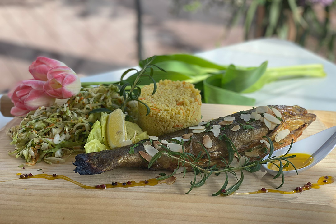 Pstrąg Roztoczański