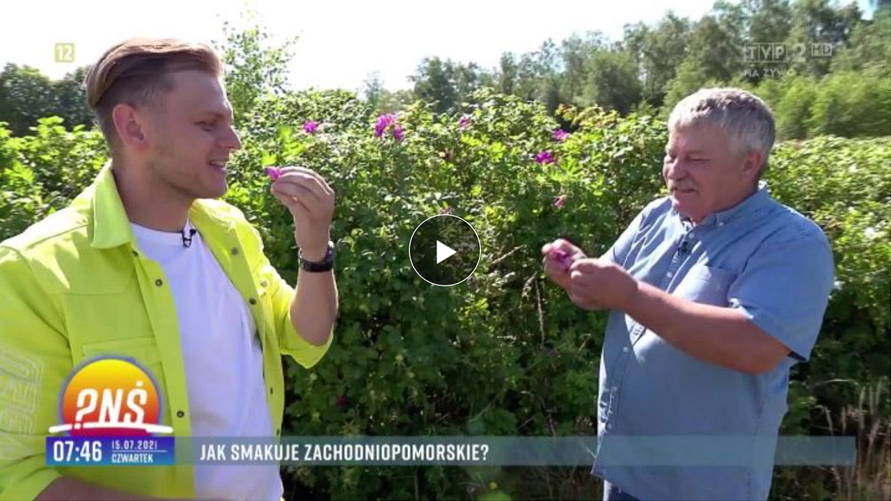 Pytanie na śniadanie - Zachodnio-pomorskie